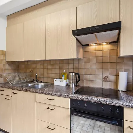 Charming And Comfortable Apartment Zurich